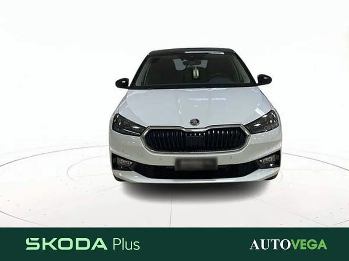 Skoda Fabia usata a Vicenza (2)