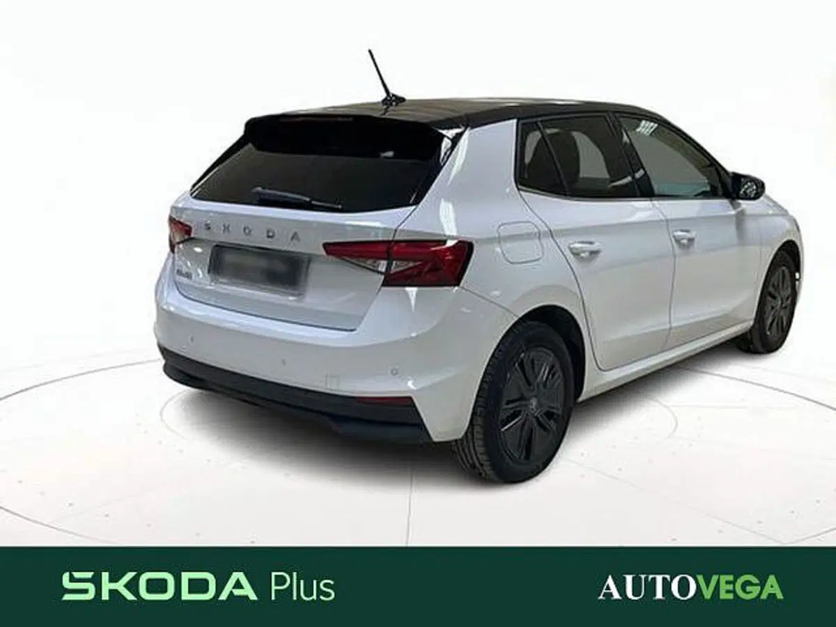 Skoda Fabia usata a Vicenza (4)