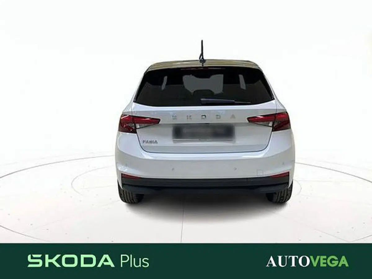 Skoda Fabia usata a Vicenza (5)