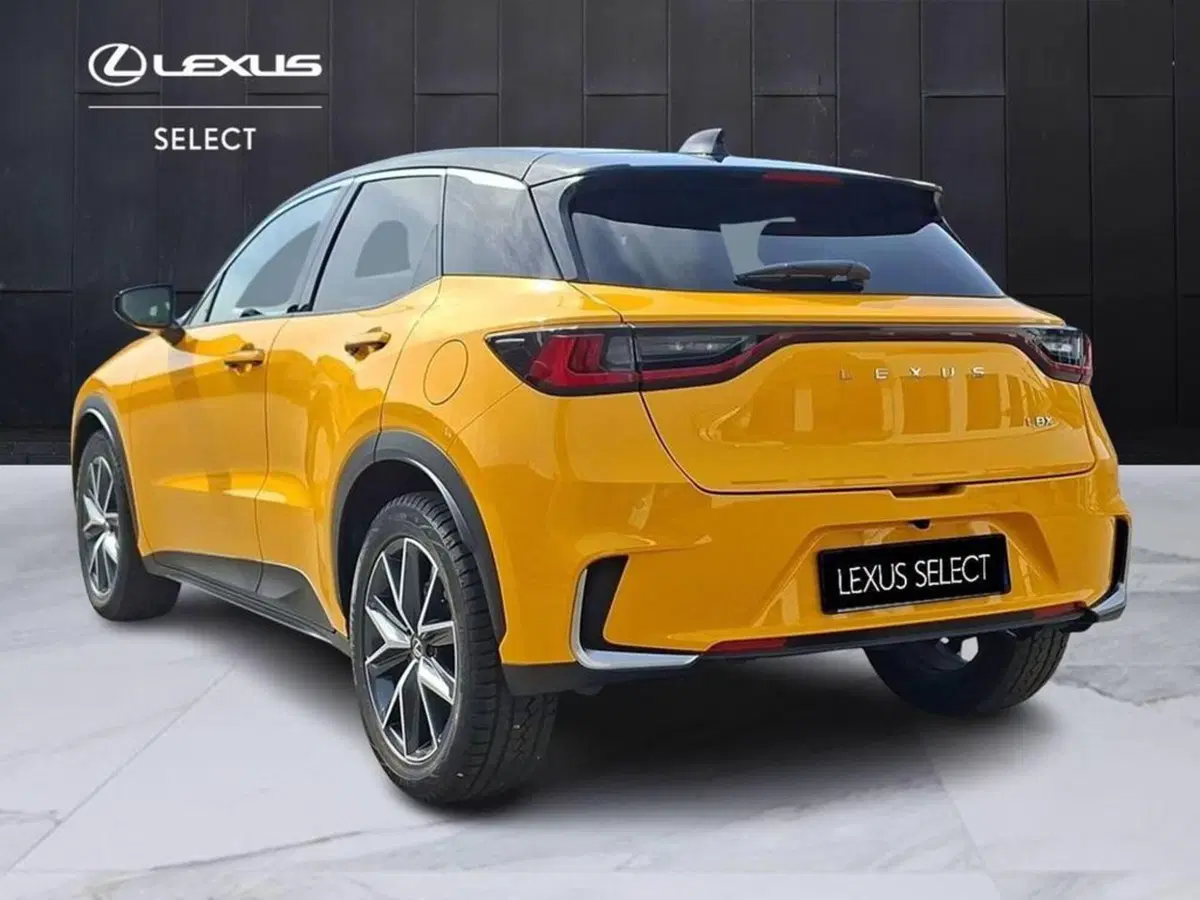Lexus LBX usata a Torino (2)