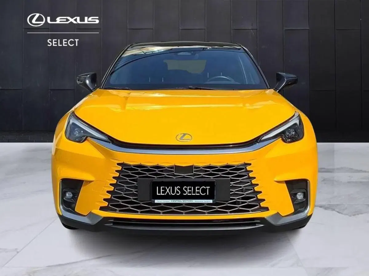Lexus LBX usata a Torino (3)