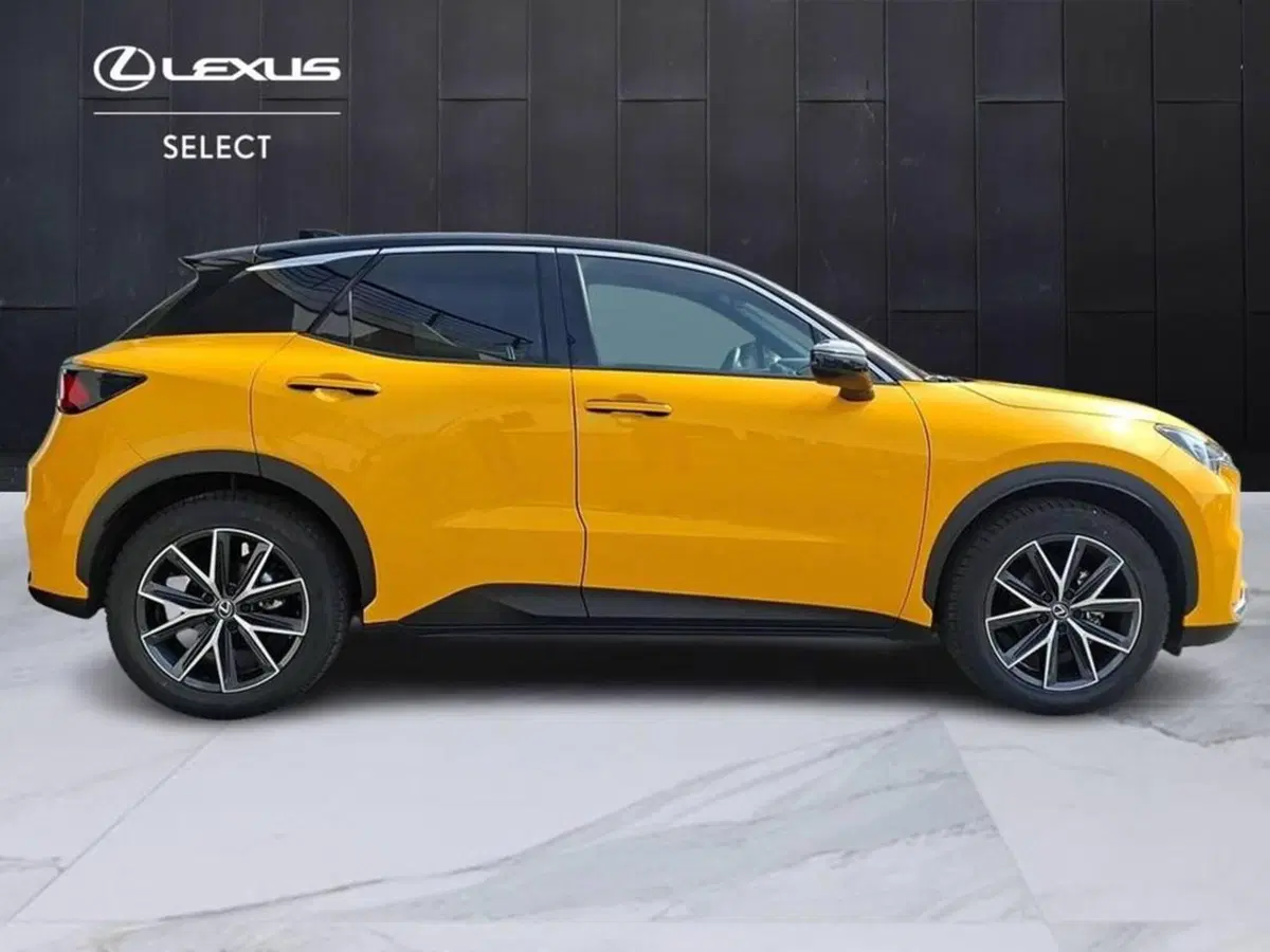 Lexus LBX usata a Torino (5)