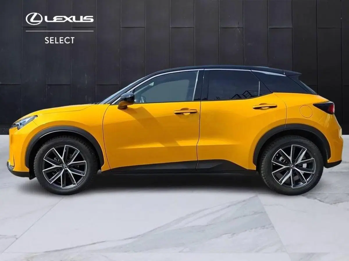 Lexus LBX usata a Torino (6)