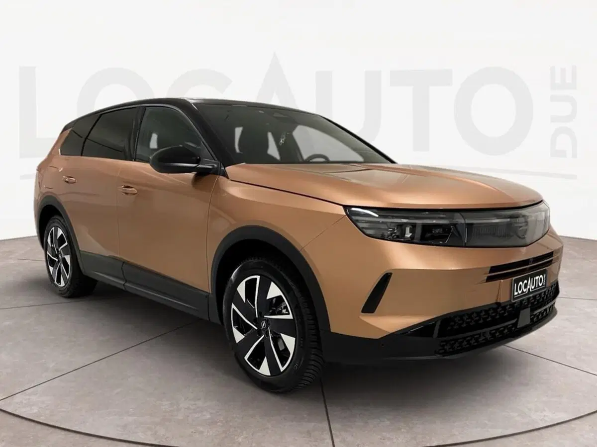 Opel Grandland usata a Torino (3)