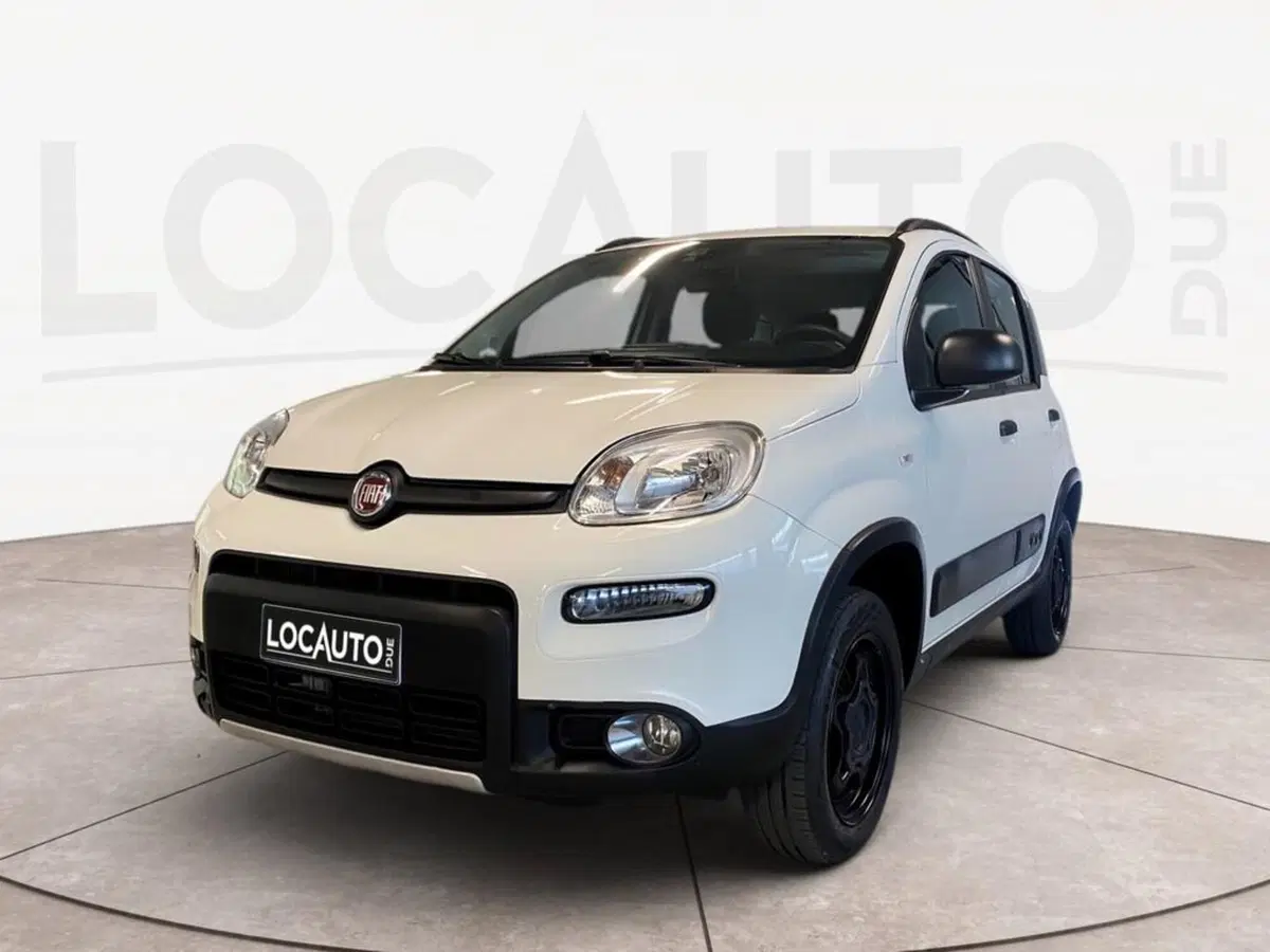 Fiat Panda usata a Torino