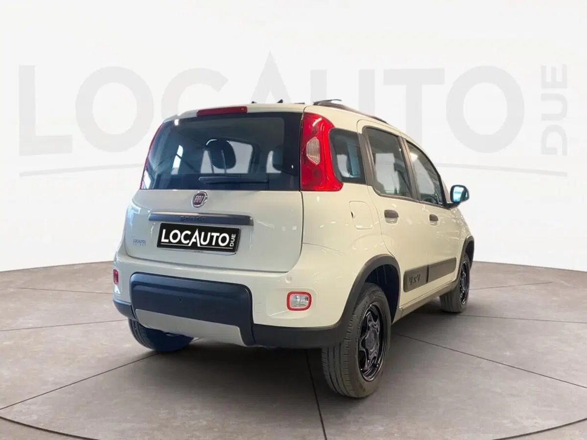 Fiat Panda usata a Torino (4)