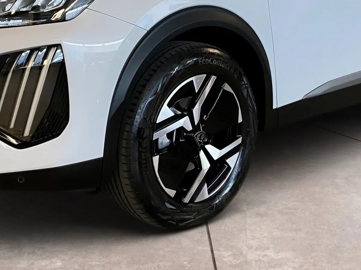 Peugeot 2008 usata a Torino (15)