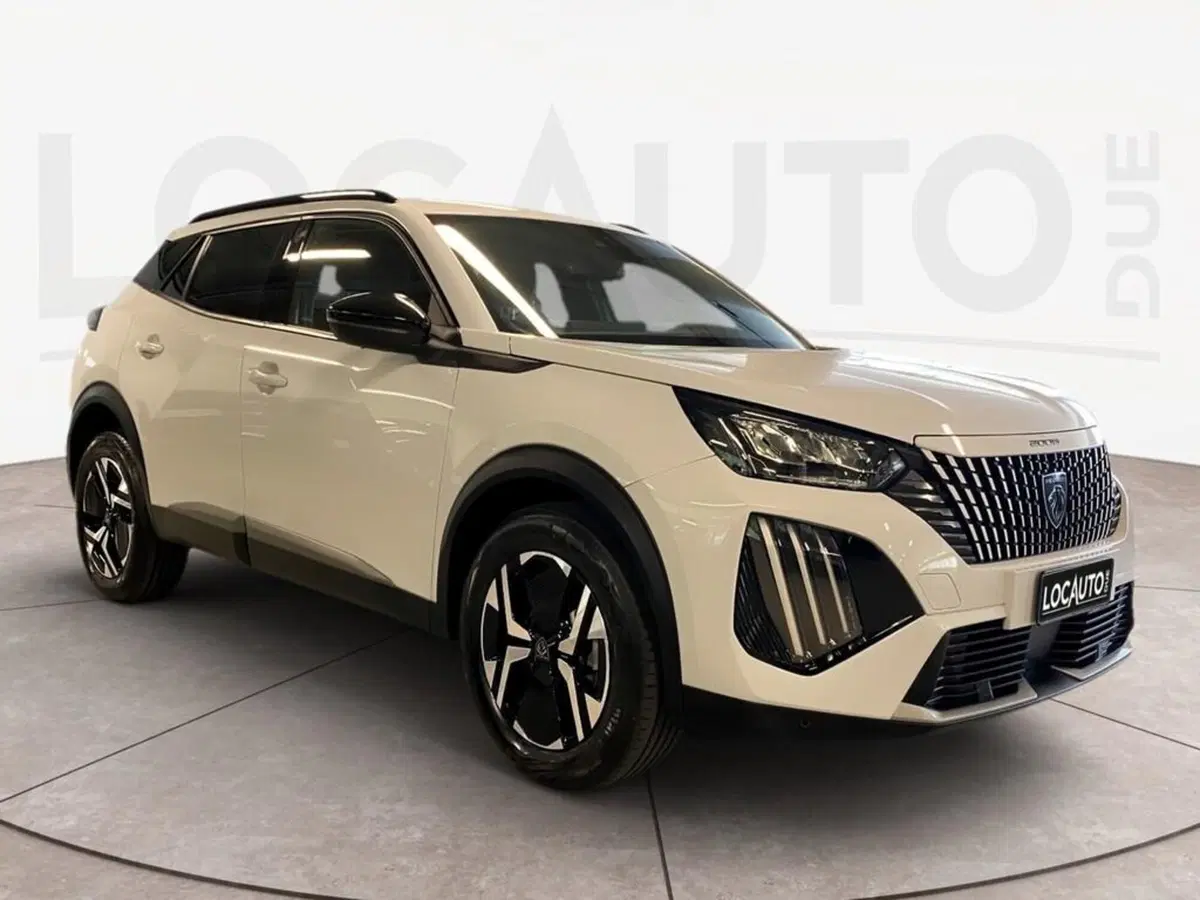 Peugeot 2008 usata a Torino (3)