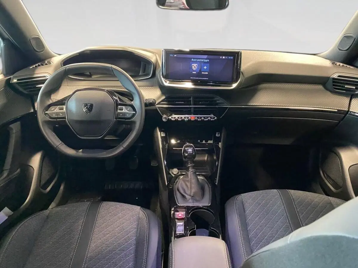 Peugeot 2008 usata a Torino (6)