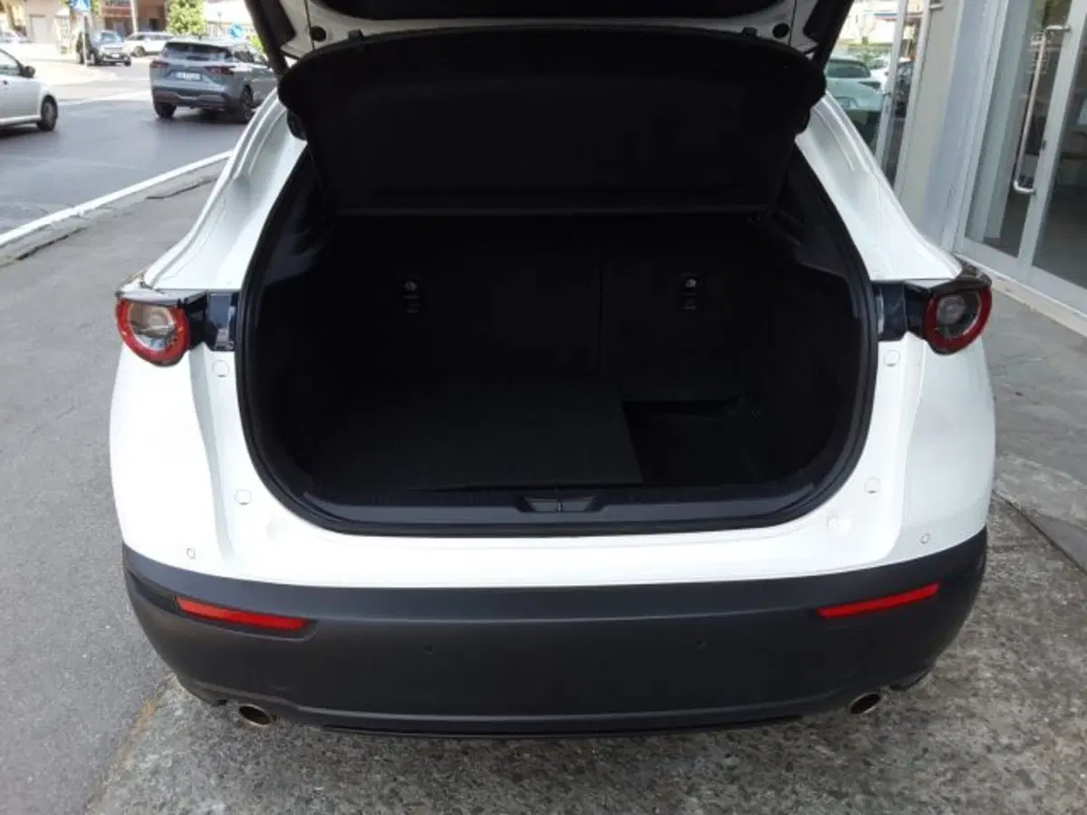 Mazda CX-30 usata a Firenze (14)