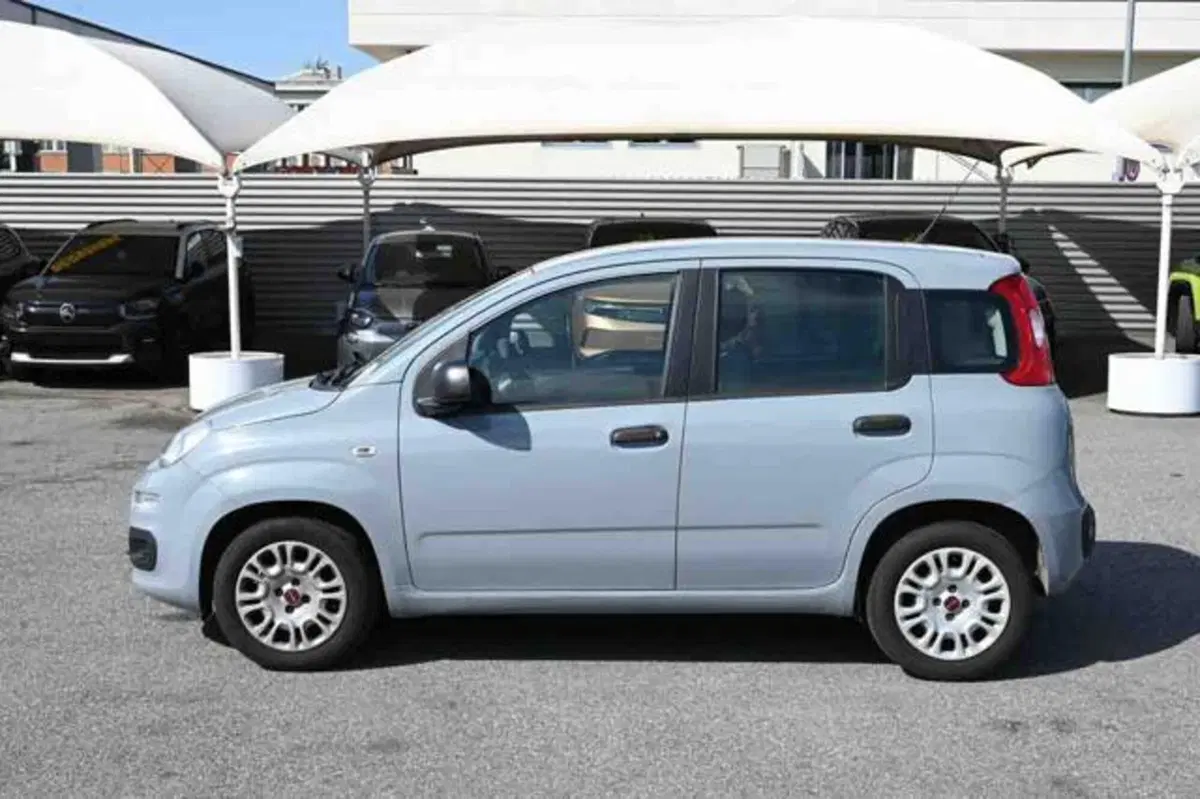Fiat Panda usata a Torino (19)