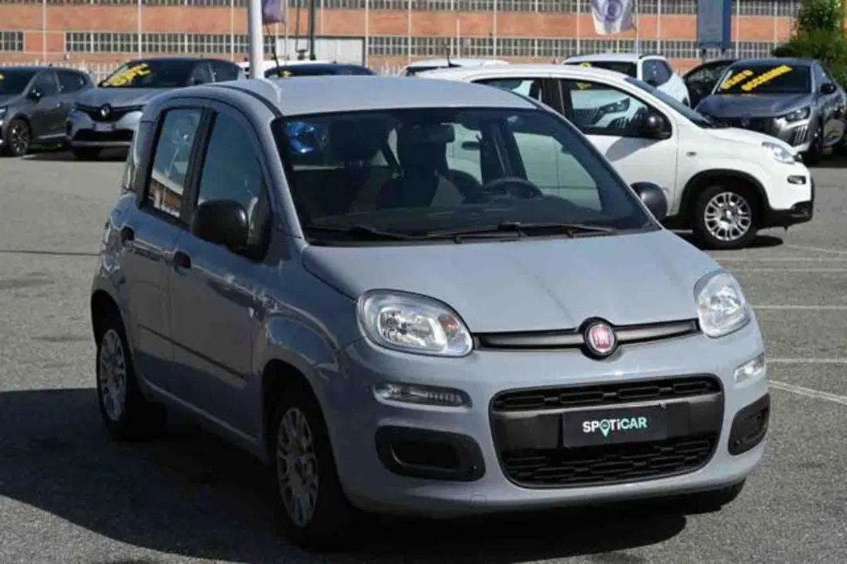 Fiat Panda usata a Torino (2)