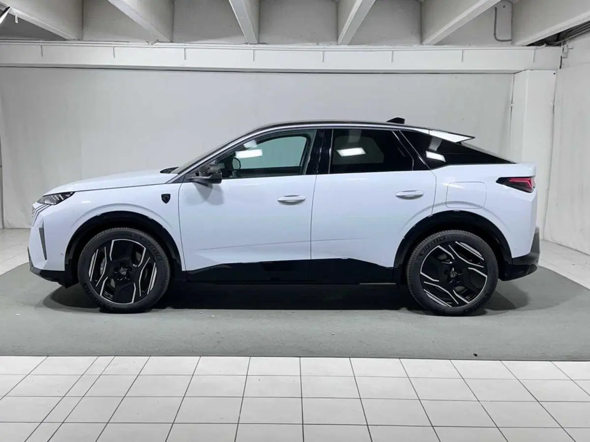 Peugeot 3008 usata a Sondrio (2)