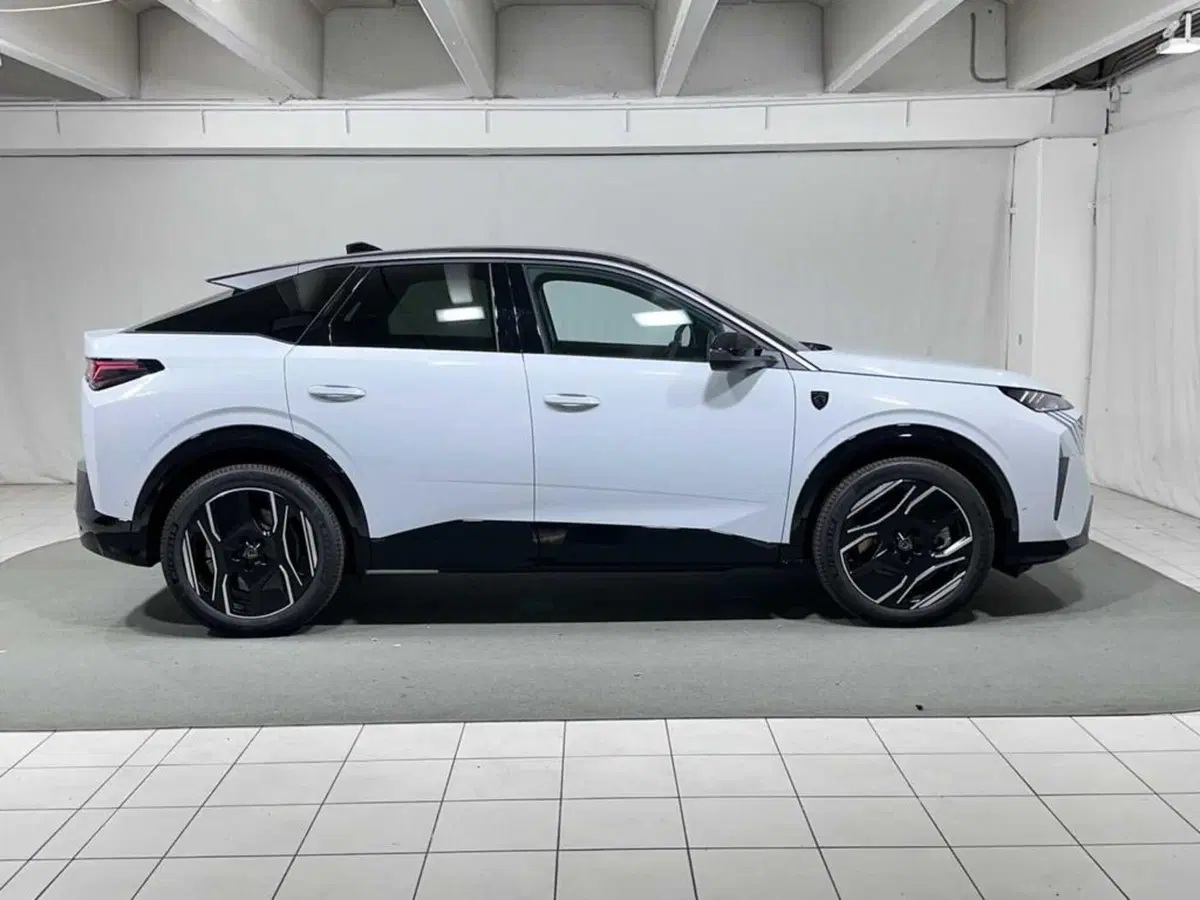 Peugeot 3008 usata a Sondrio (6)