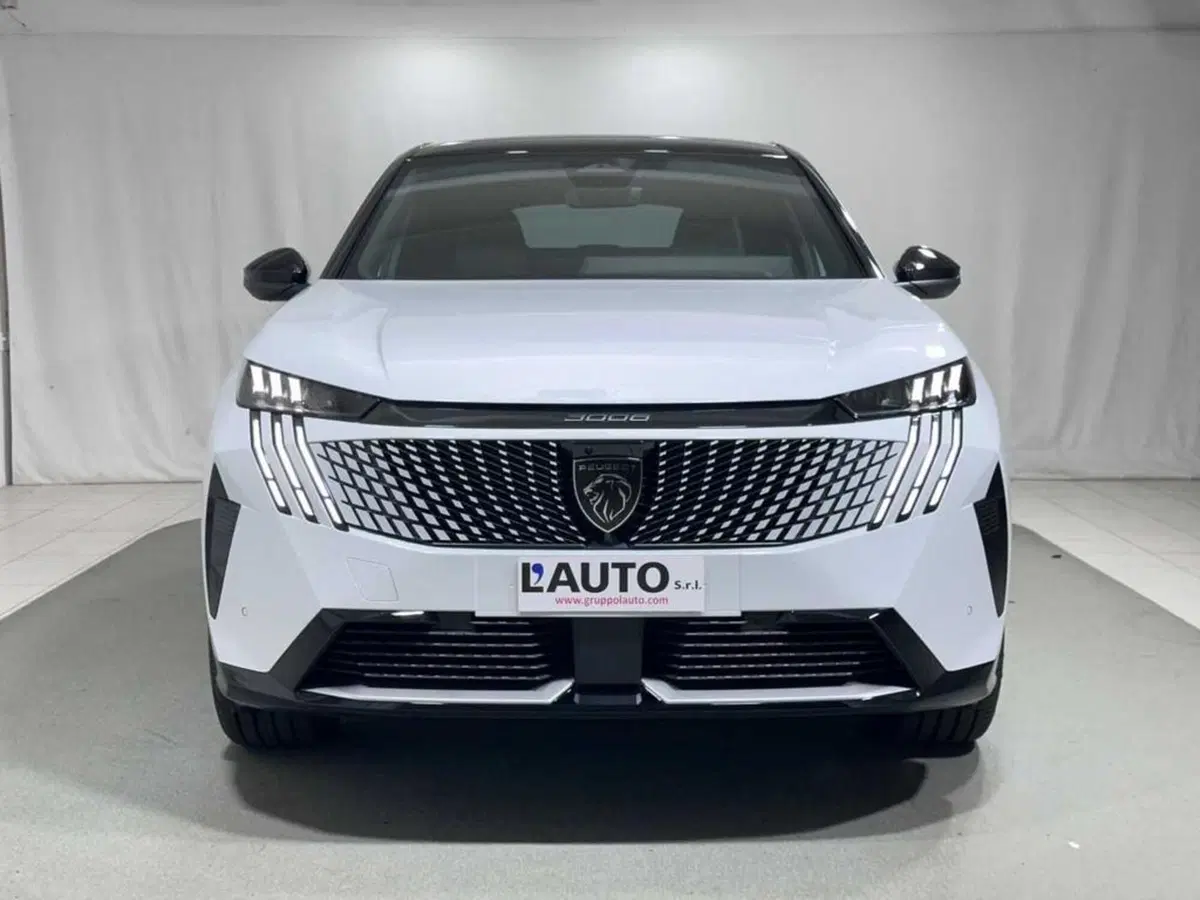 Peugeot 3008 usata a Sondrio (8)