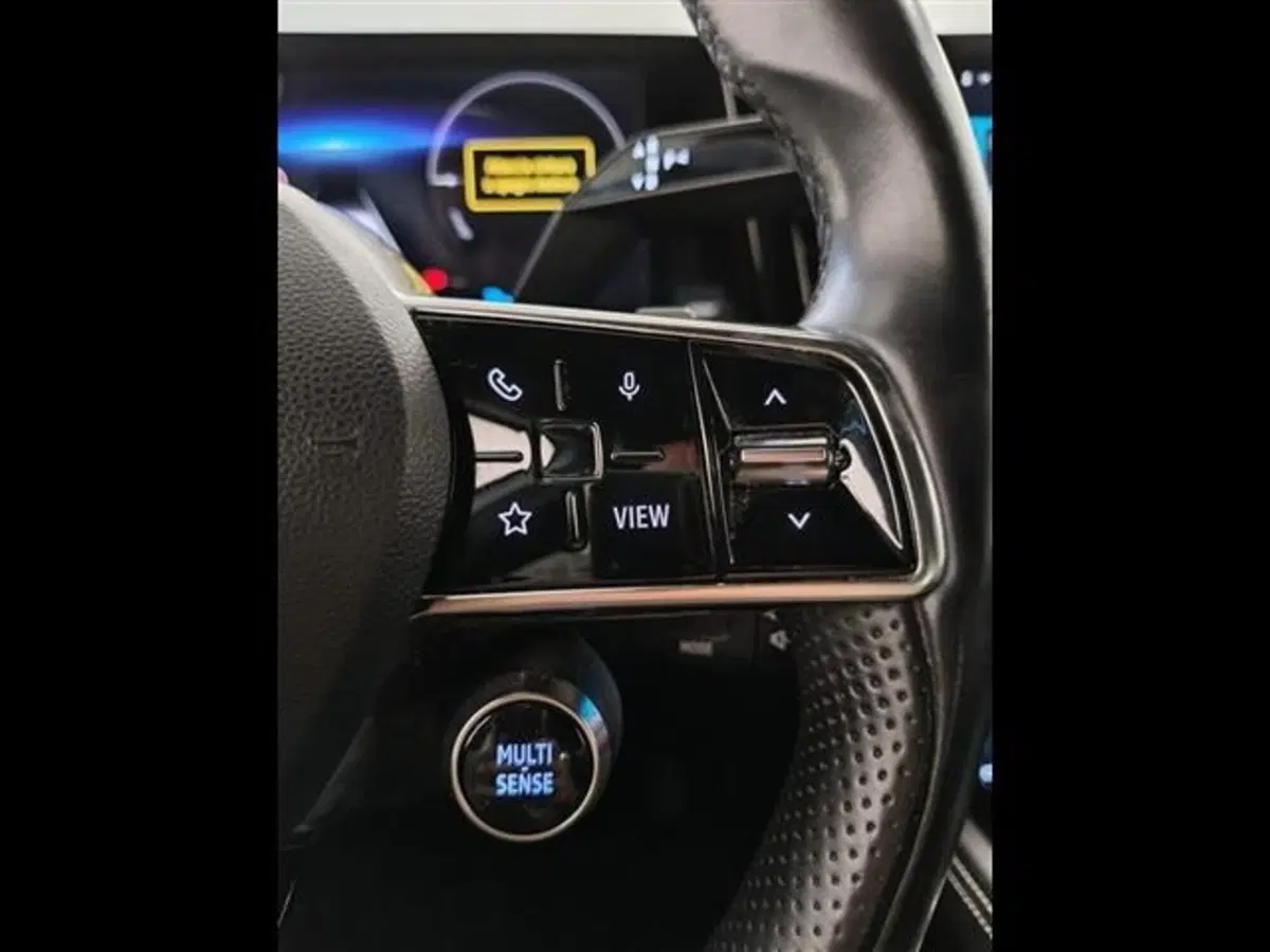 Renault Austral usata a Siena (19)