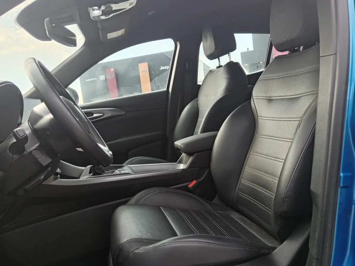 Alfa Romeo Tonale usata a Alessandria (11)