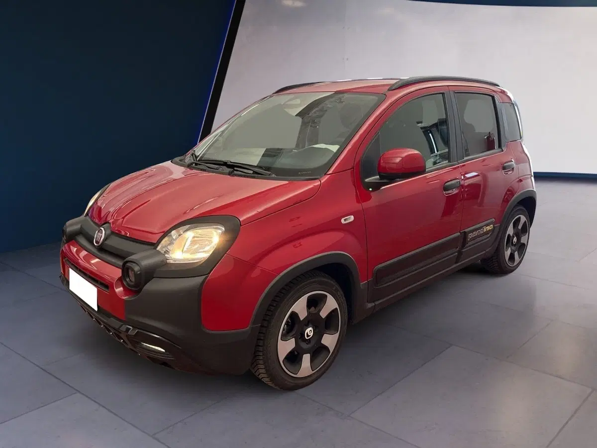 Fiat Pandina usata a Torino (2)