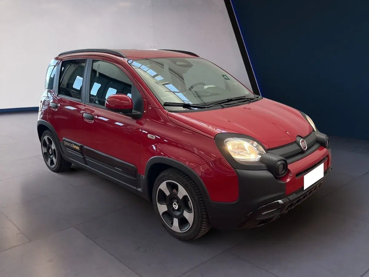 Fiat Pandina usata a Torino (3)