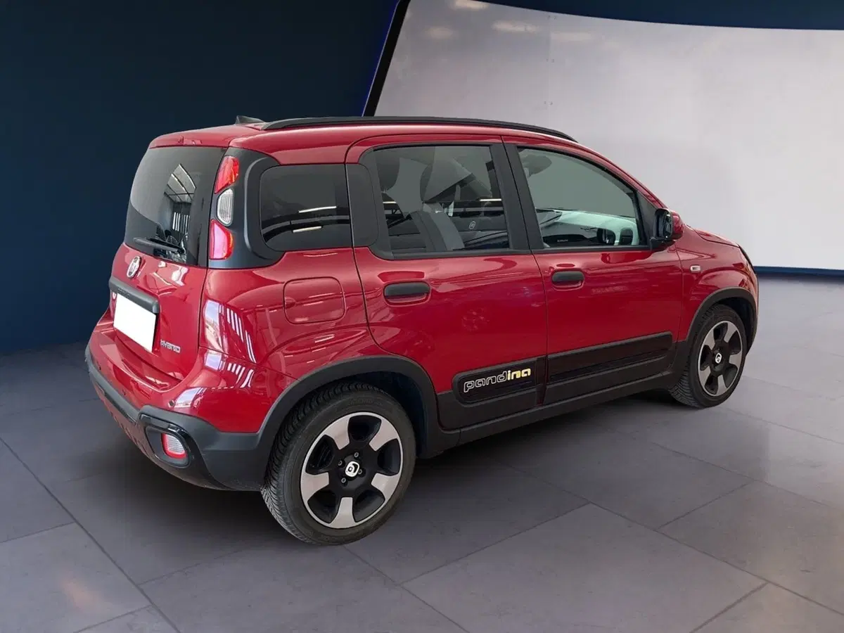 Fiat Pandina usata a Torino (4)