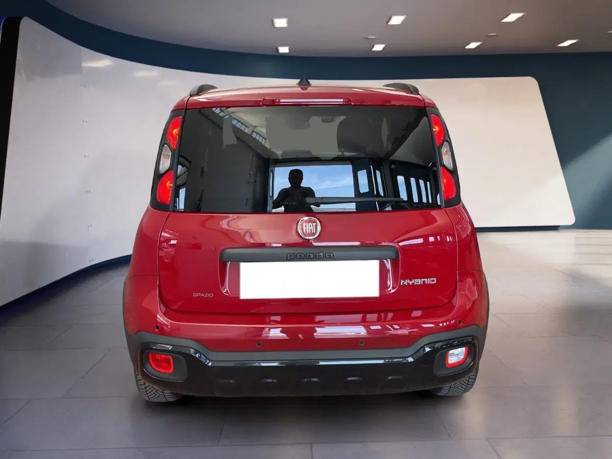 Fiat Pandina usata a Torino (5)