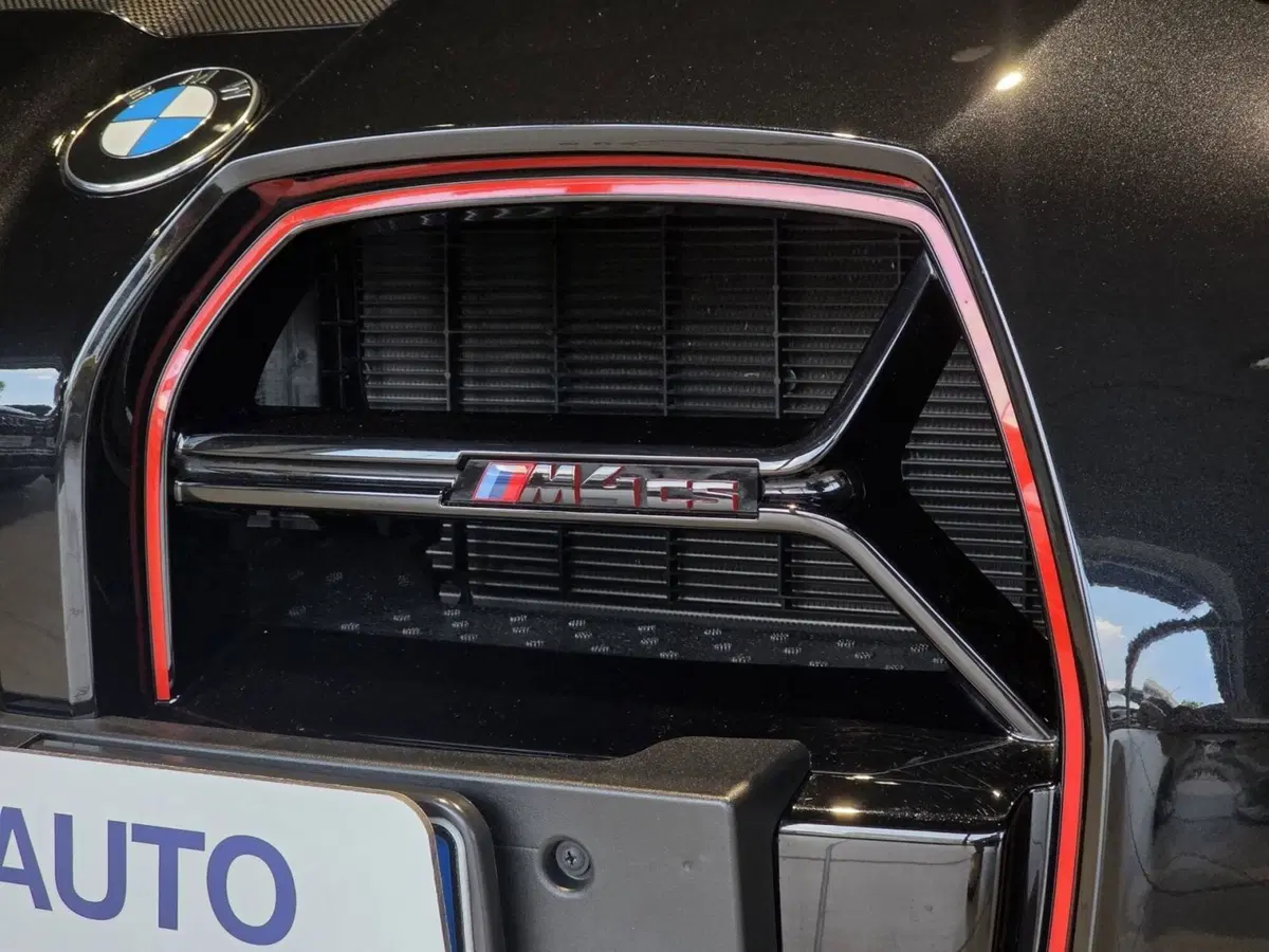 BMW Serie 4 Coupé usata a Pistoia (18)