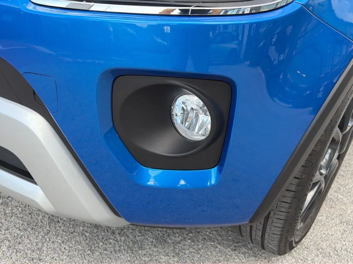 Suzuki Ignis usata a Campobasso (16)
