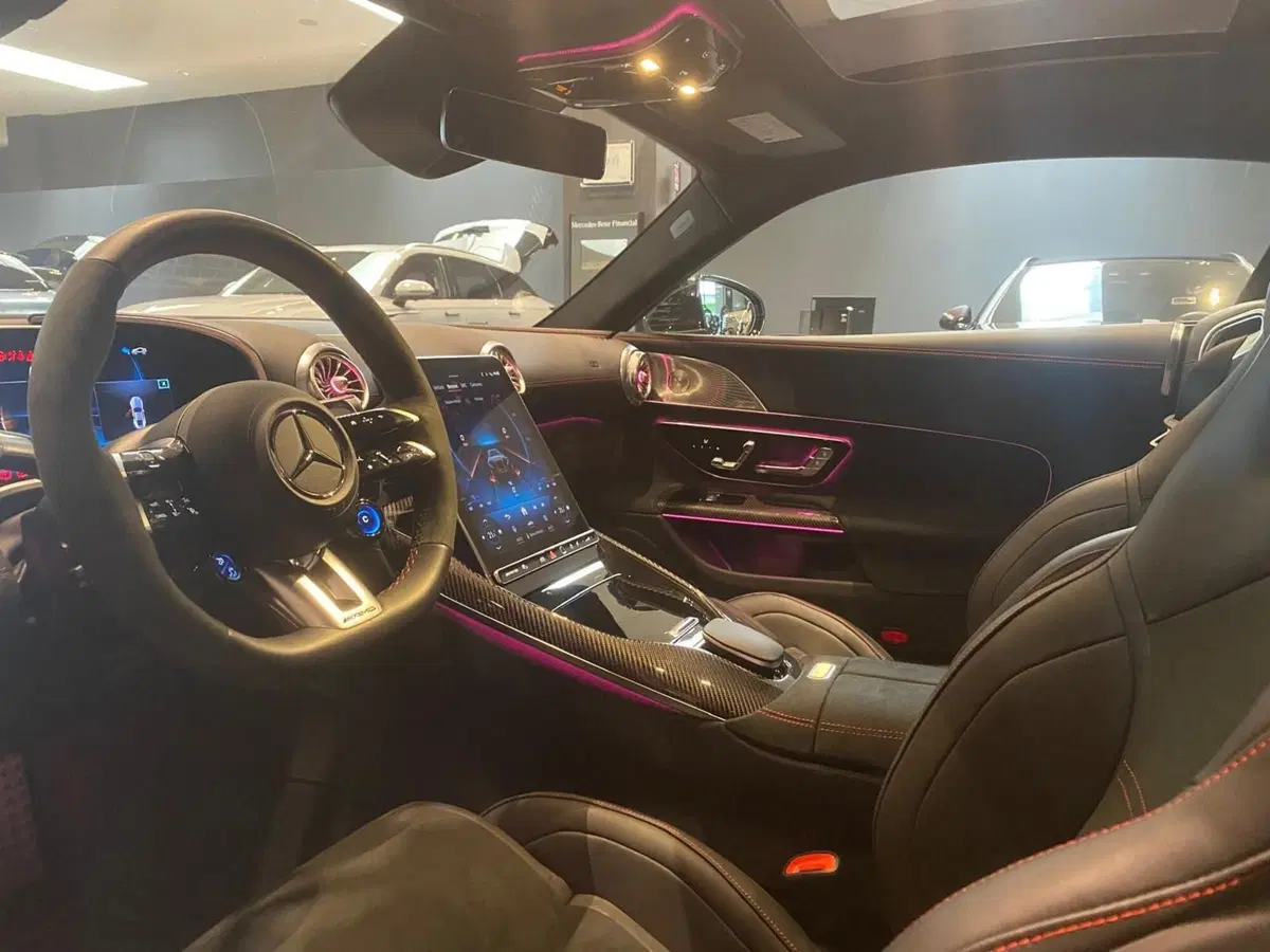 Mercedes-Benz AMG GT usata a Bergamo (11)
