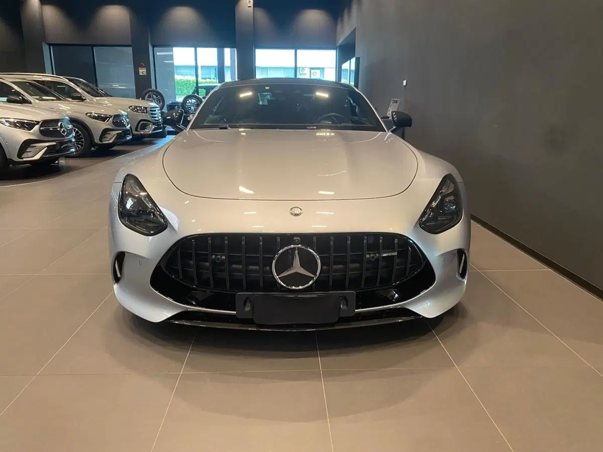 Mercedes-Benz AMG GT usata a Bergamo (3)