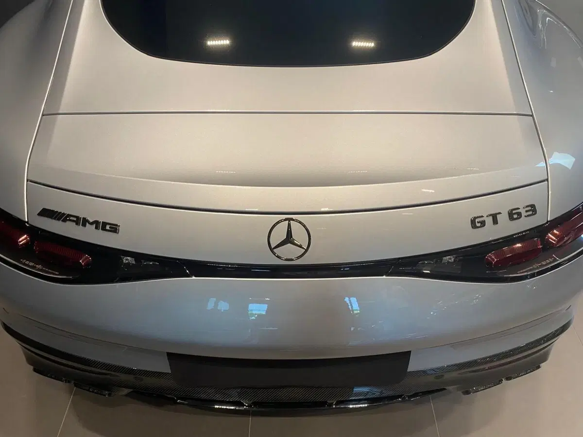 Mercedes-Benz AMG GT usata a Bergamo (4)