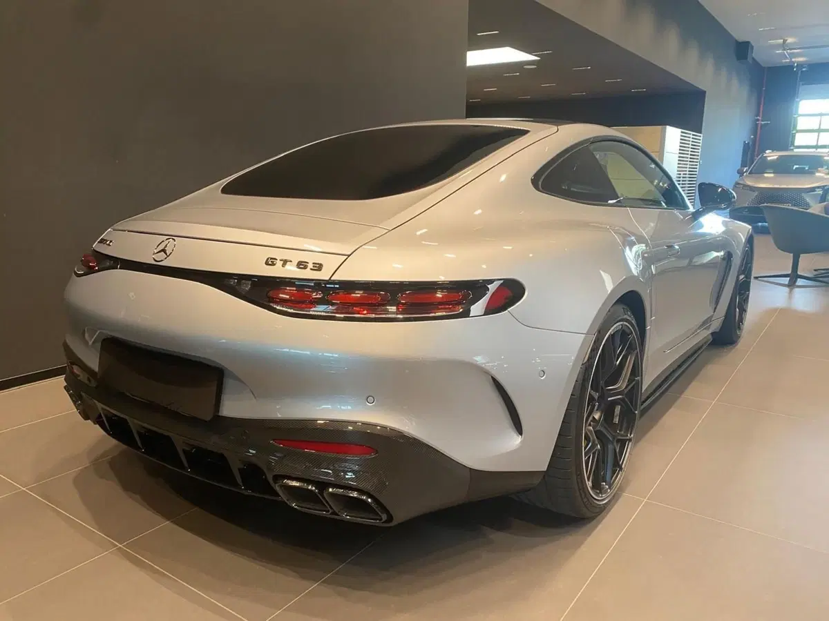 Mercedes-Benz AMG GT usata a Bergamo (5)