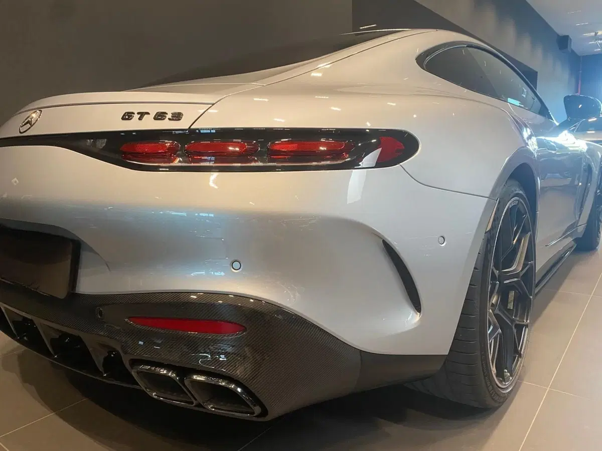 Mercedes-Benz AMG GT usata a Bergamo (6)
