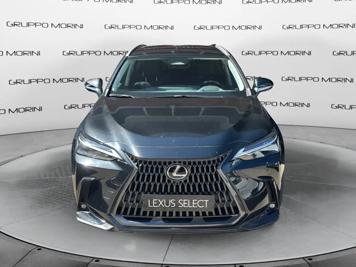 Lexus NX usata a Bologna
