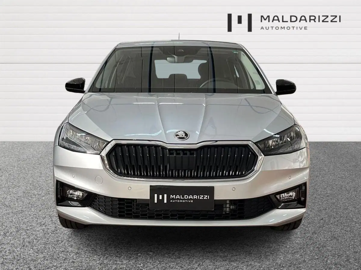 Skoda Fabia usata a Bari (2)