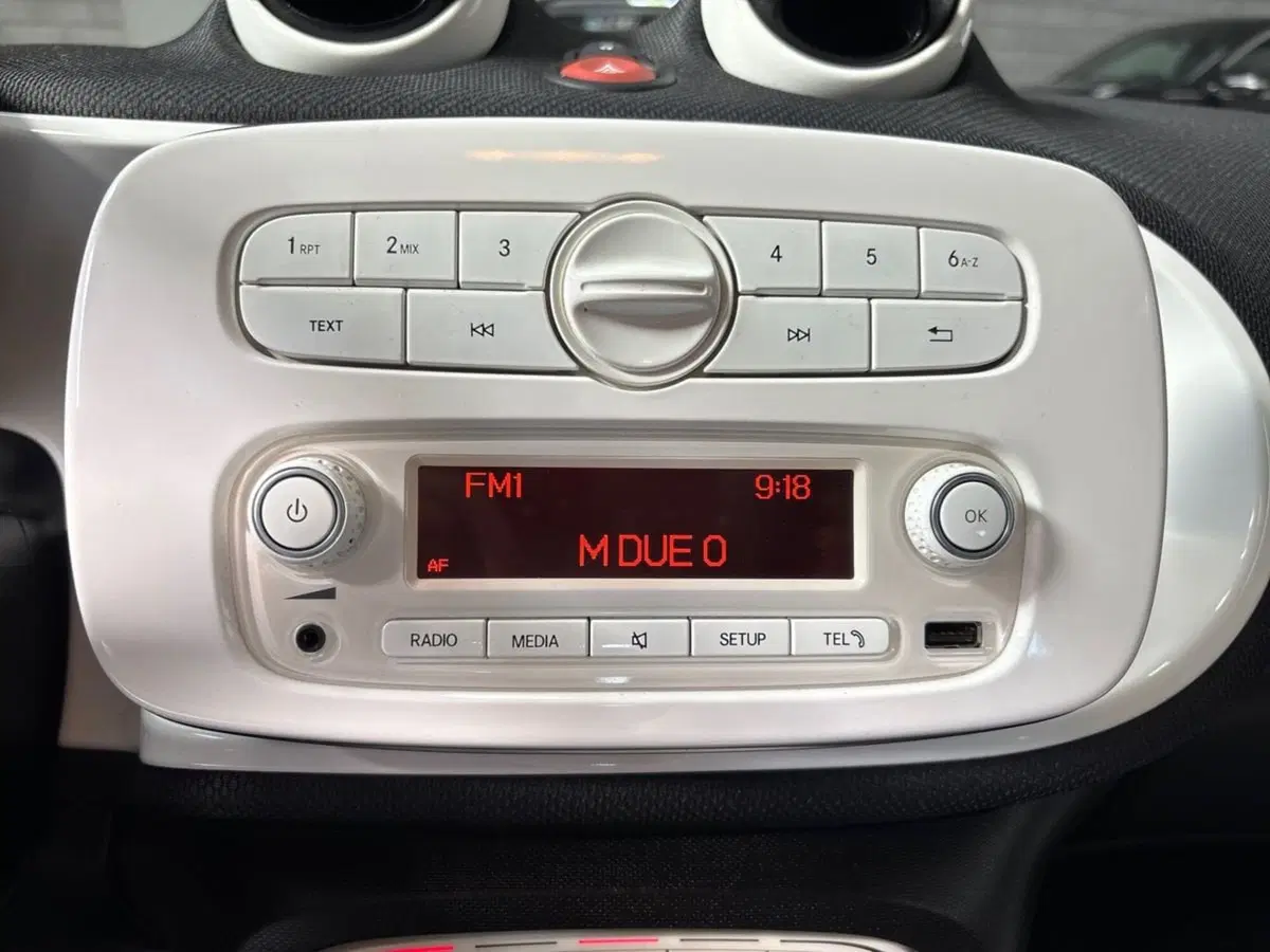 smart forfour usata a Pescara (10)