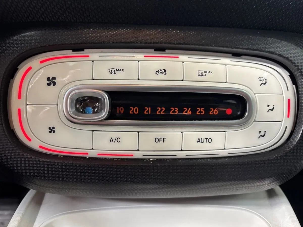 smart forfour usata a Pescara (13)