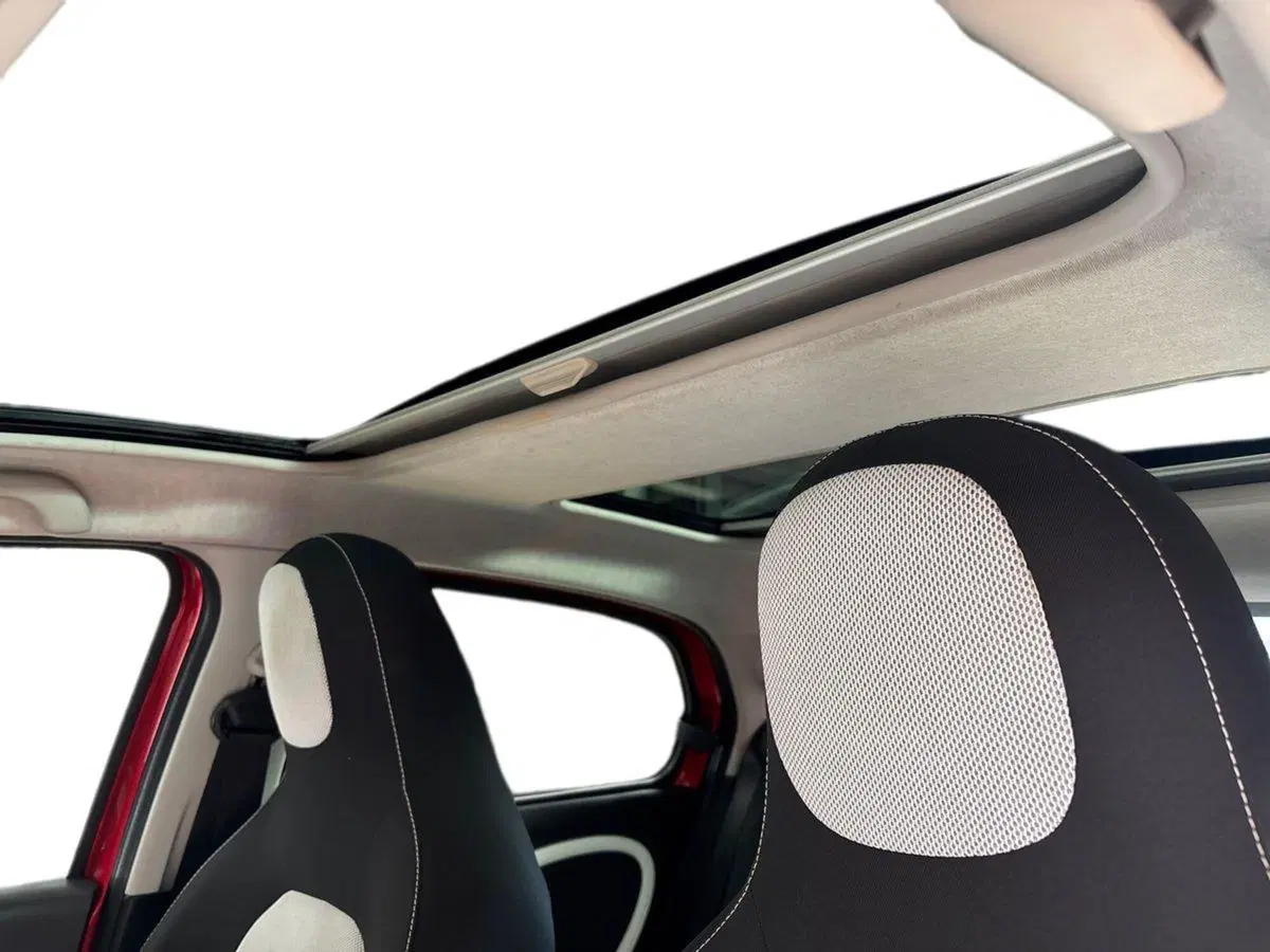smart forfour usata a Pescara (14)