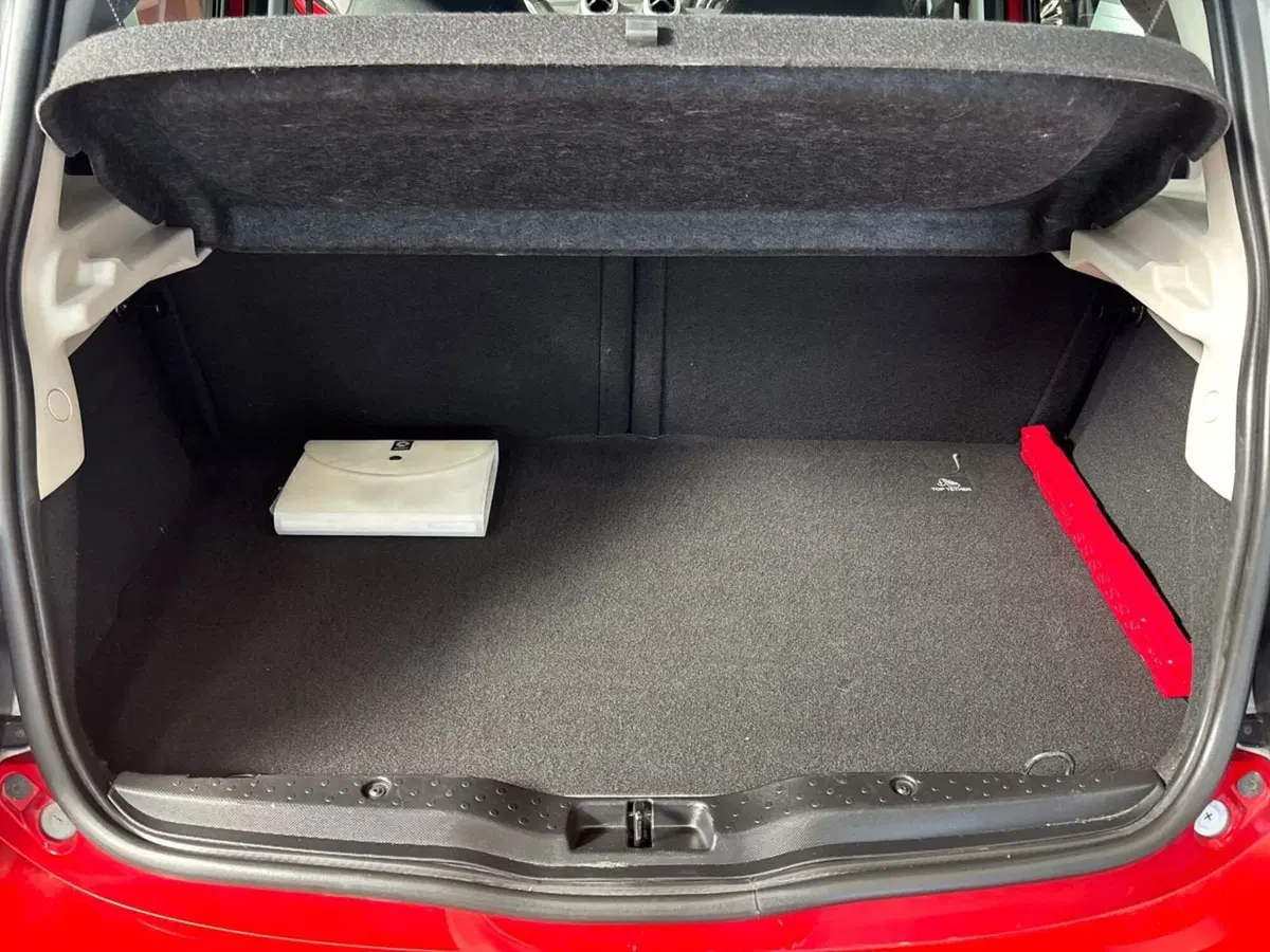 smart forfour usata a Pescara (7)