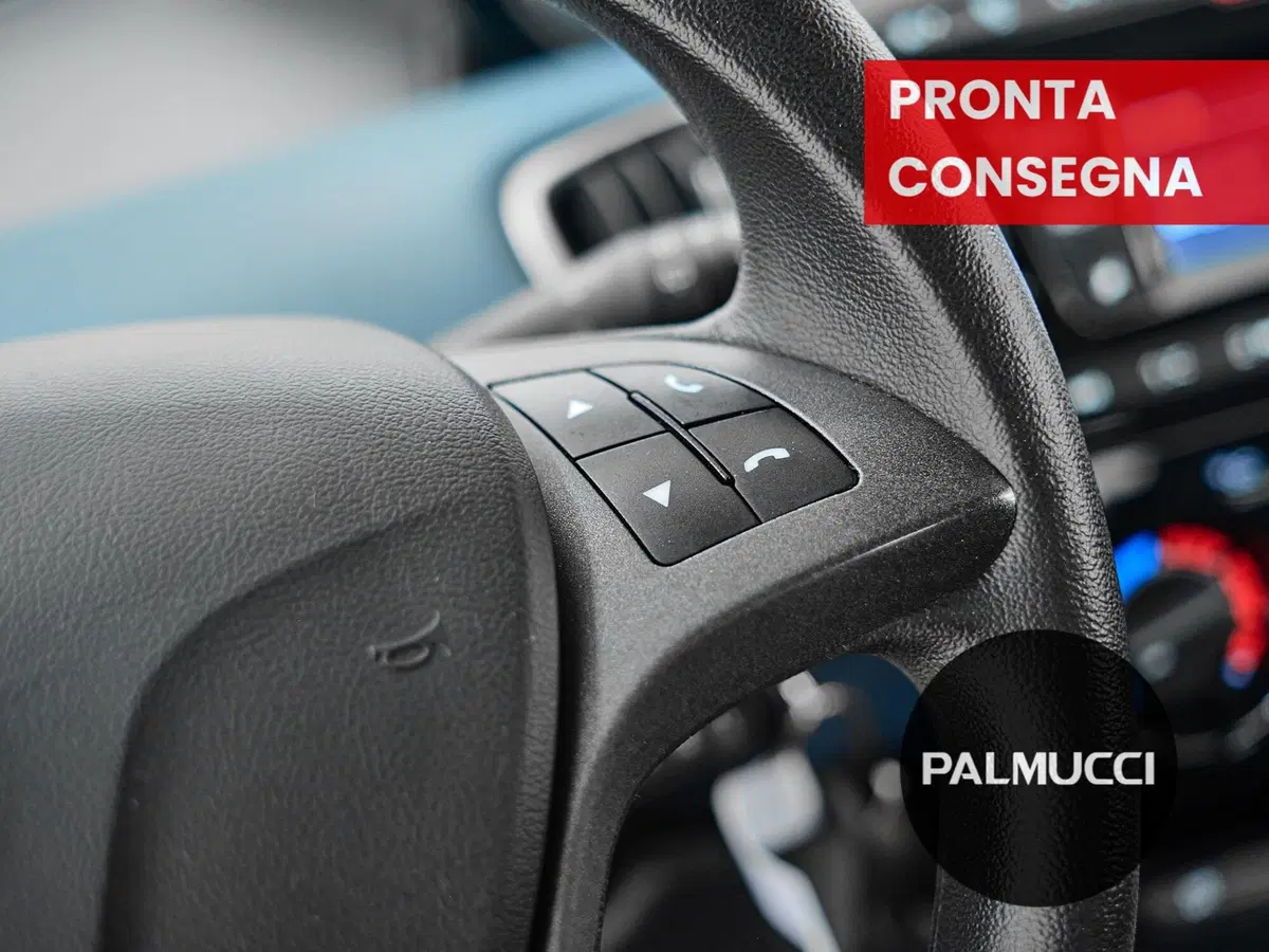 Lancia Ypsilon usata a Prato (10)