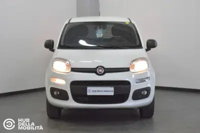 Fiat Panda 0.9 TwinAir Turbo S&amp;S 4x4 Pop Van 2 posti del 2019 usata a Foligno