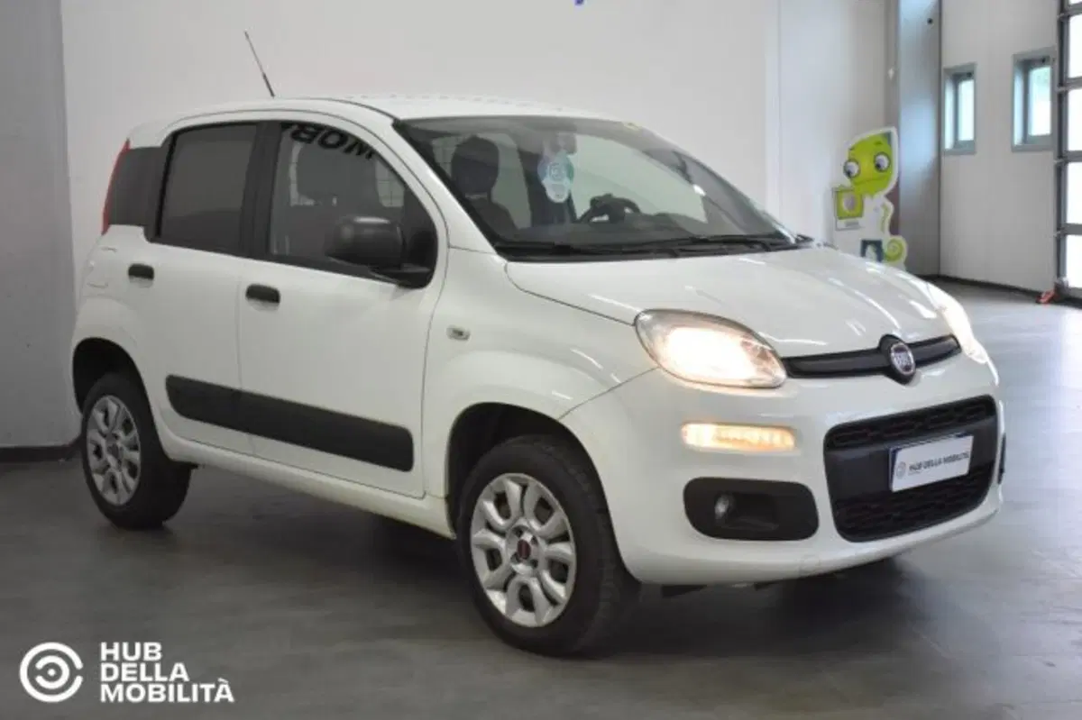 Fiat Panda usata a Perugia (2)
