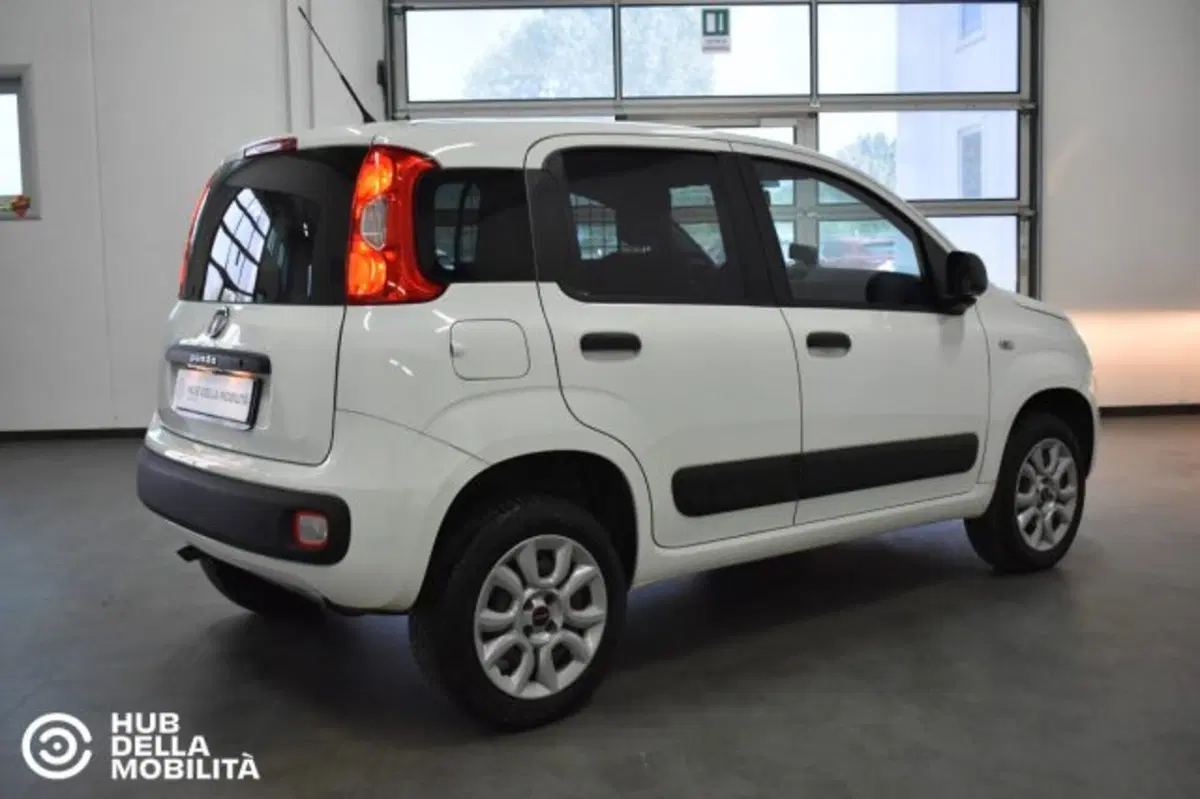 Fiat Panda usata a Perugia (4)