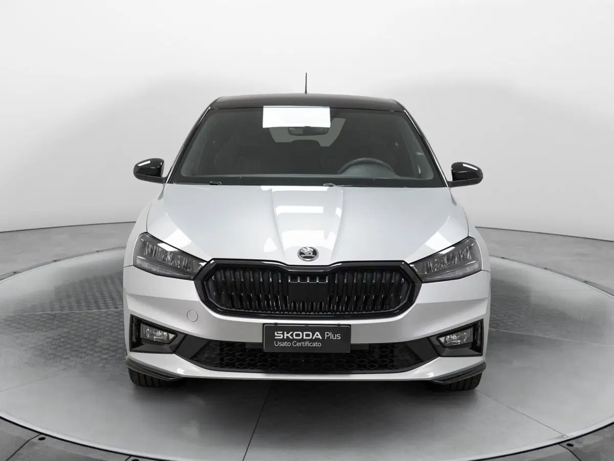 Skoda Fabia usata a Varese (2)