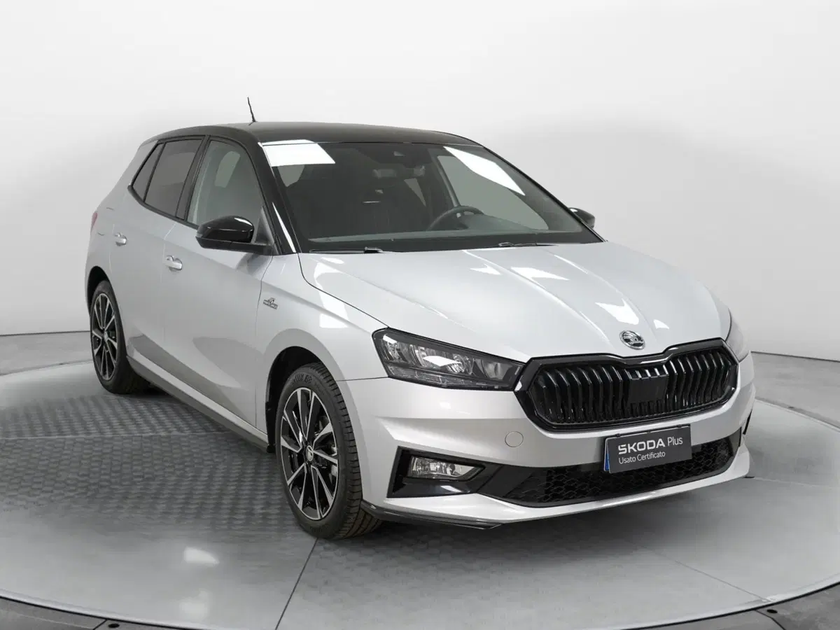 Skoda Fabia usata a Varese (3)