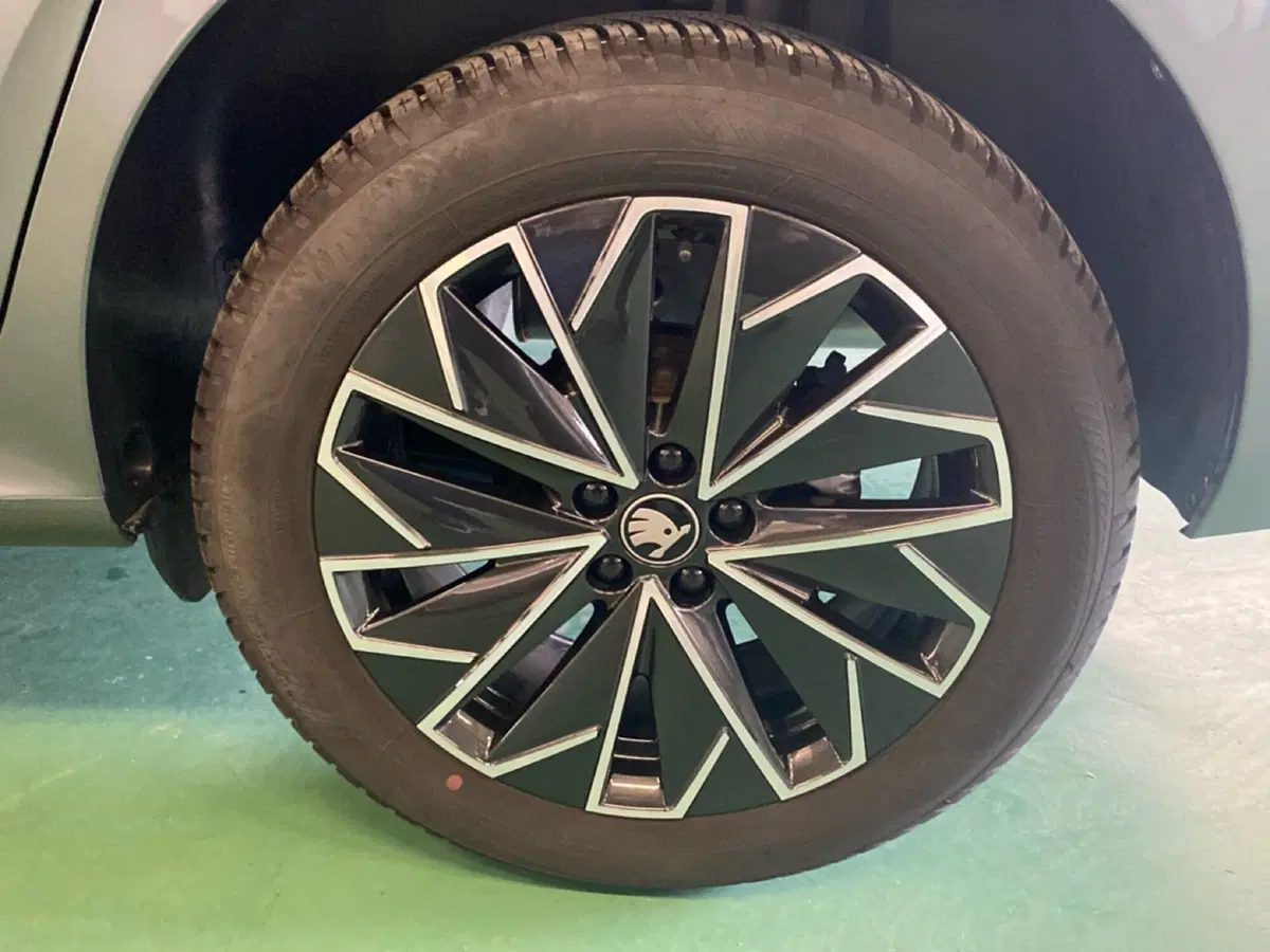 Skoda Kamiq usata a Catanzaro (9)