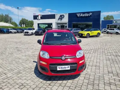 Fiat Panda 0.9 TwinAir Turbo S&amp;S Lounge del 2013 usata a Lucca