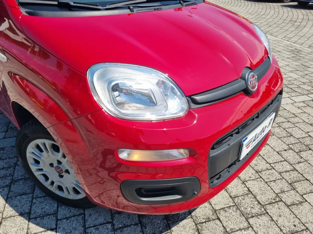 Fiat Panda usata a Lucca (17)
