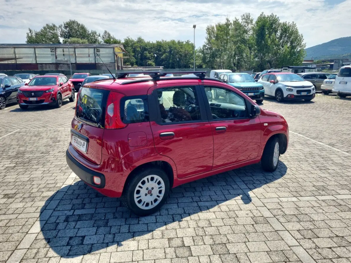 Fiat Panda usata a Lucca (3)