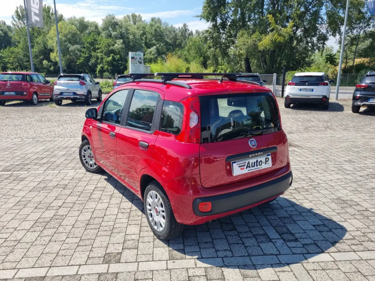 Fiat Panda usata a Lucca (4)