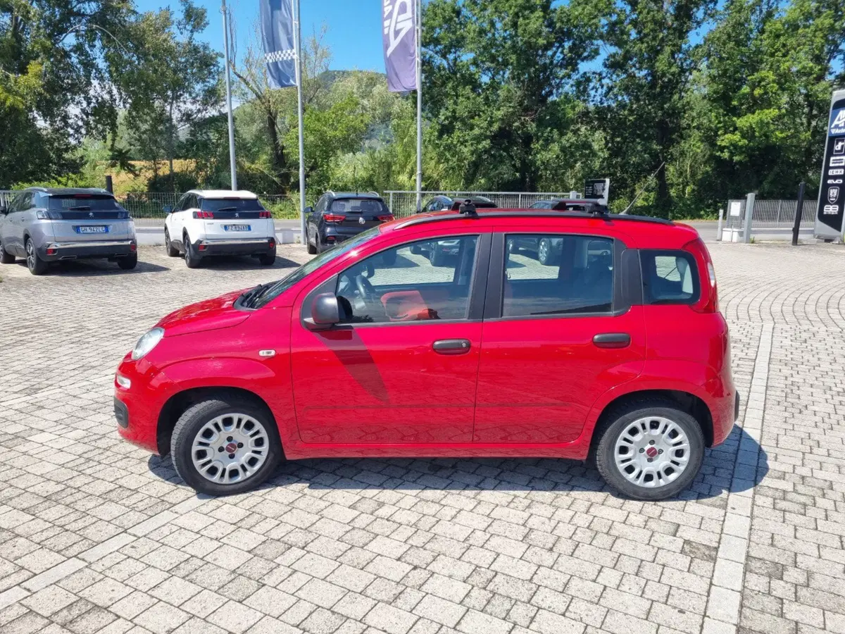 Fiat Panda usata a Lucca (5)